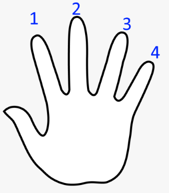 Finger Numbers